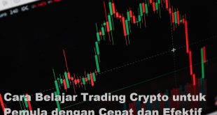 Cara Belajar Trading Crypto untuk Pemula dengan Cepat dan Efektif
